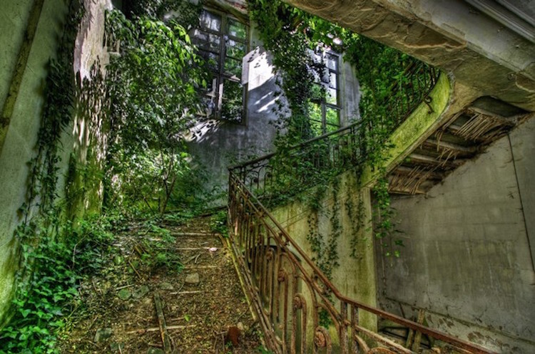 11 Fascinating Abandoned Mansions To Visit for Halloween ➤ To see more news about The Most Expensive Homes around the world visit us at www.themostexpensivehomes.com #mostexpensive #mostexpensivehomes #themostexpensivehomes @expensivehomes