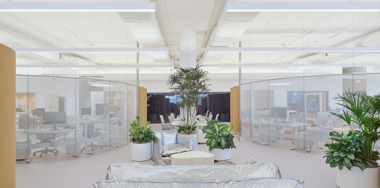 Stunning Design Projects by Johnston Marklee