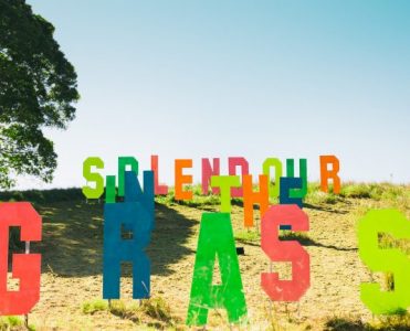 Splendour In The Grass: Australia's Largest Music Festival