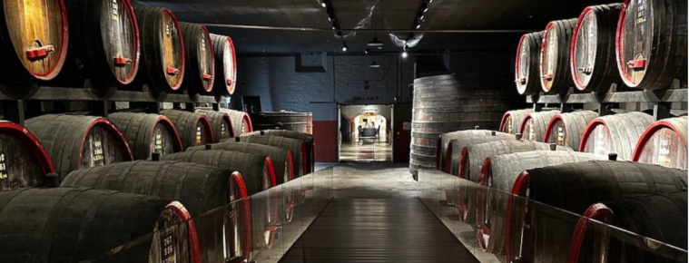 Best Wineries to Visit: Luxury Vineyards with Stunning Interiors